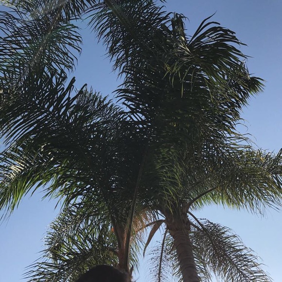 bellaaaramirez